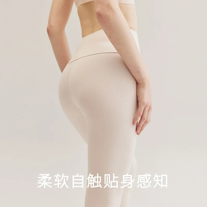 Legging Taille Haute Femme